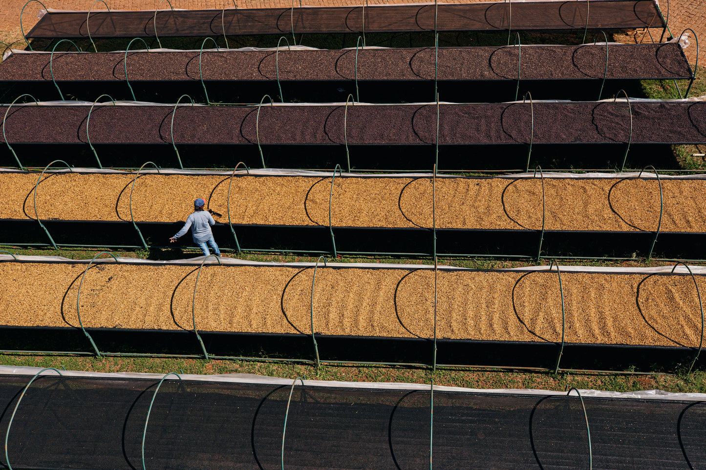 BRAZIL - FAZENDA VILA BOA