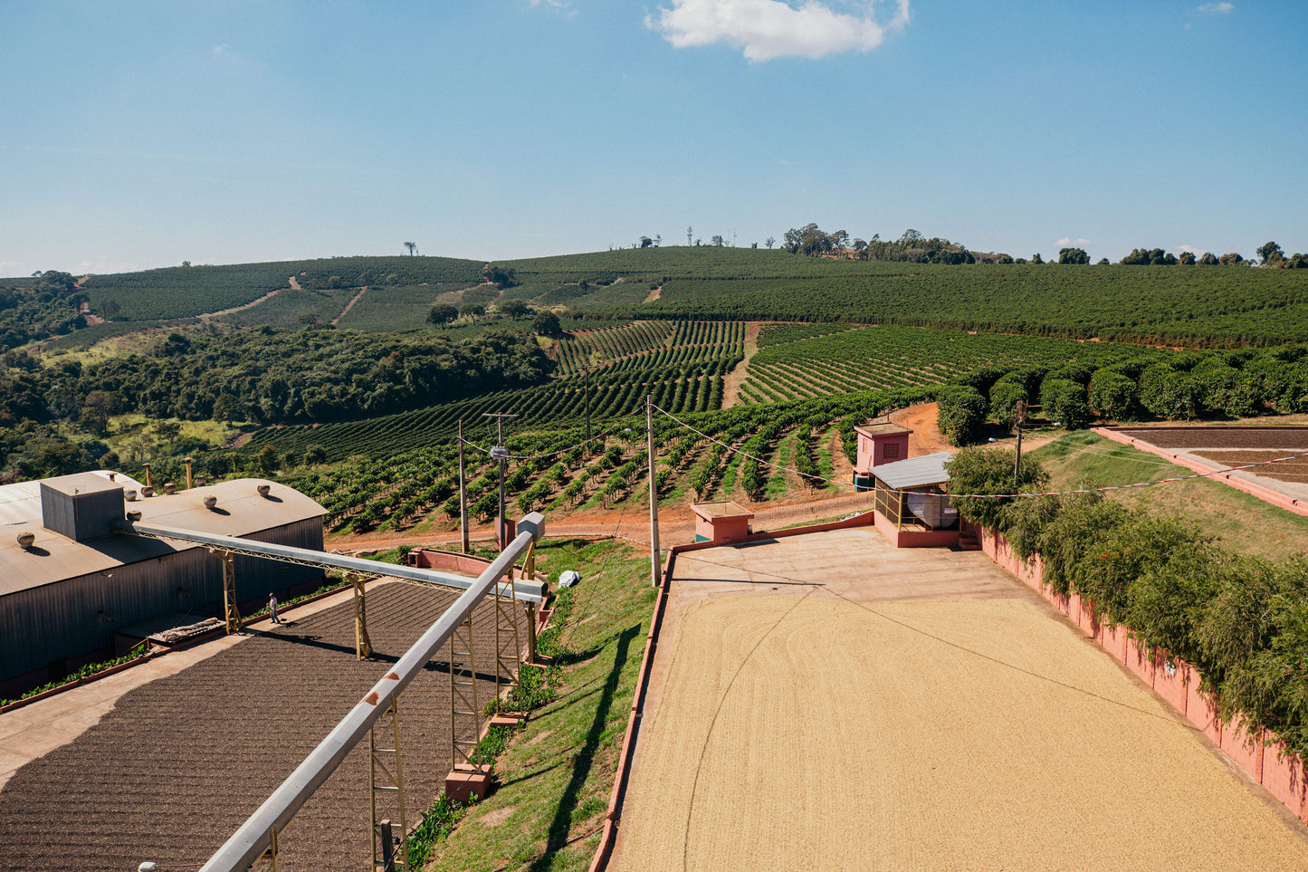 BRAZIL - FAZENDA VILA BOA