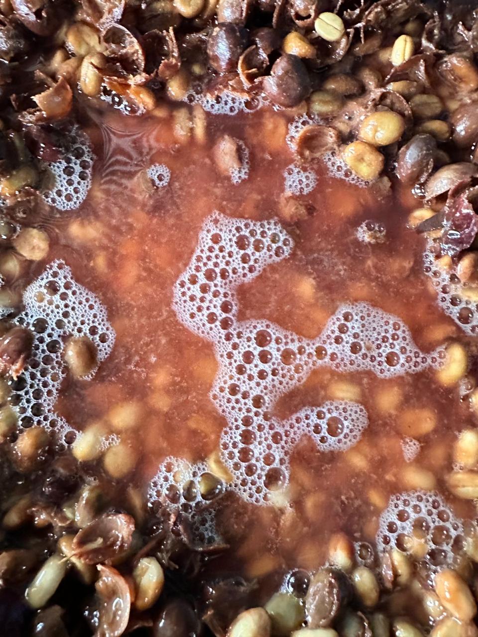 COSTA RICA - AQUIARES ESTATE